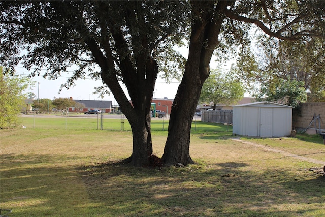 view of yard with a storage unit