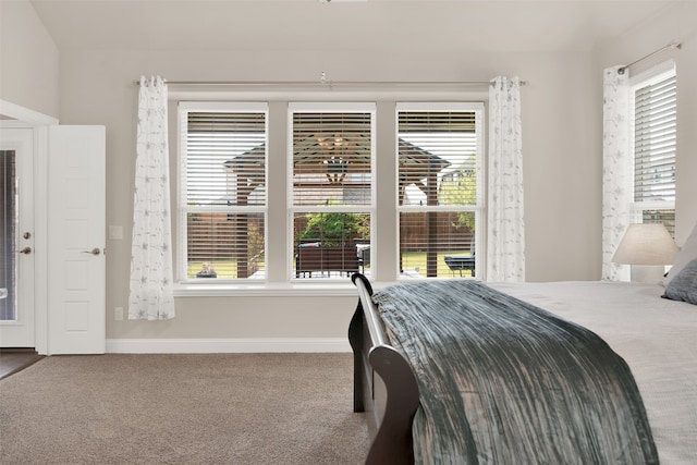 bedroom with carpet flooring