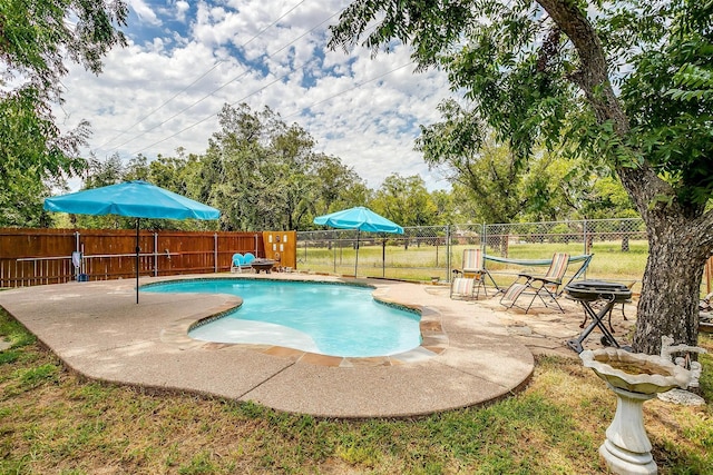 view of pool with a patio