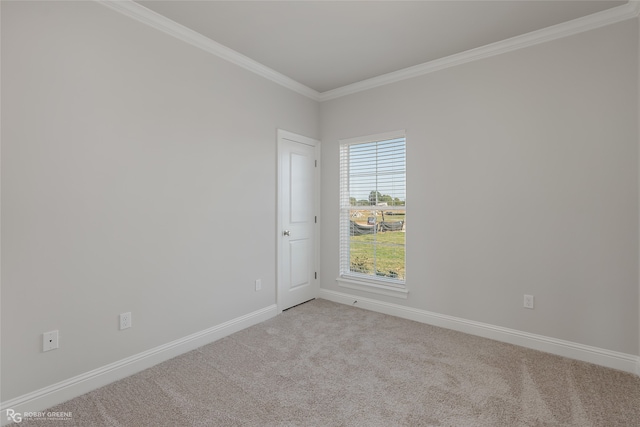 carpeted spare room with crown molding