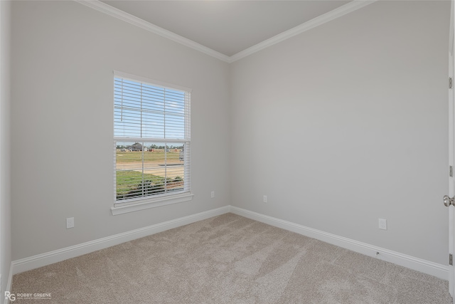 spare room with light carpet and crown molding