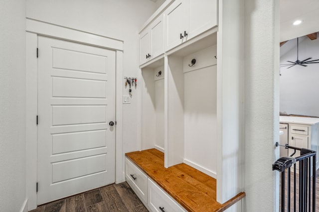 mudroom with dark wood-type flooring