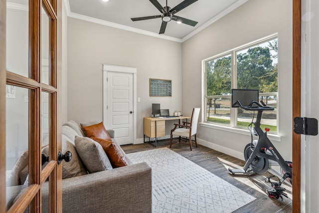 home office featuring crown molding, ceiling fan, and dark hardwood / wood-style floors