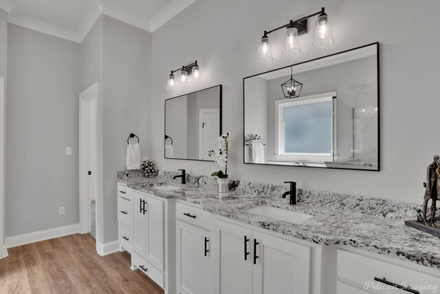 bathroom featuring wood-type flooring, vanity, and ornamental molding