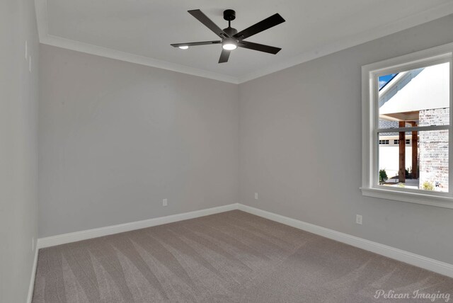 carpeted empty room featuring crown molding and ceiling fan