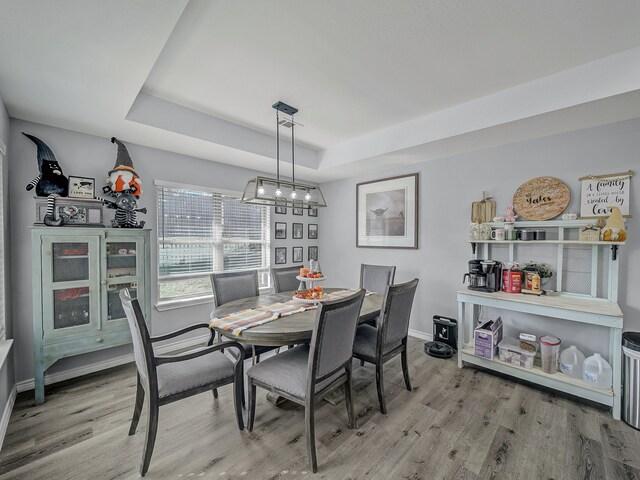 dining room with a raised ceiling and light hardwood / wood-style floors