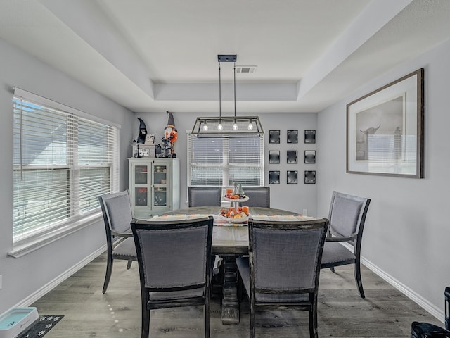 dining area with a tray ceiling and hardwood / wood-style floors