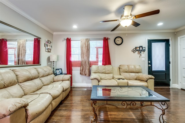 living room featuring ceiling fan, ornamental molding, and dark hardwood / wood-style flooring