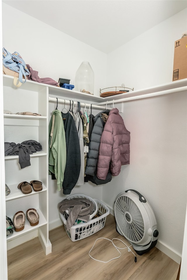 walk in closet with hardwood / wood-style flooring