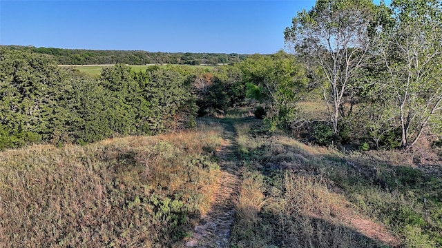 view of landscape