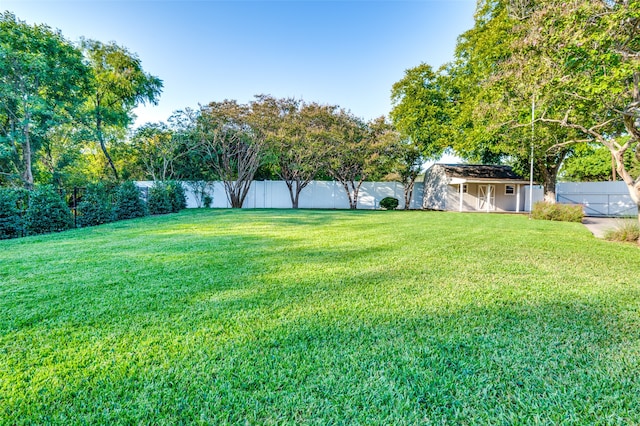 view of yard featuring a storage shed