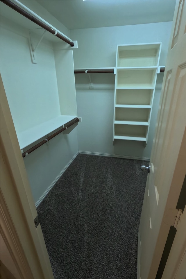 walk in closet featuring carpet flooring