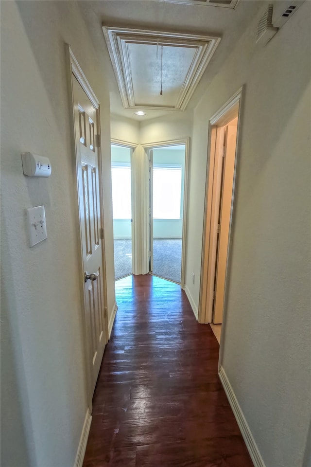 corridor with crown molding and dark hardwood / wood-style flooring