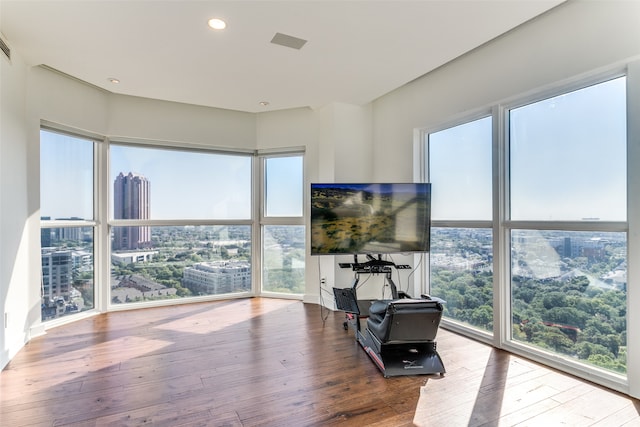 interior space featuring hardwood / wood-style flooring, a healthy amount of sunlight, and expansive windows