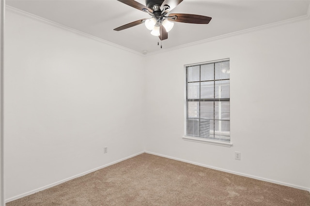 empty room with light colored carpet and crown molding