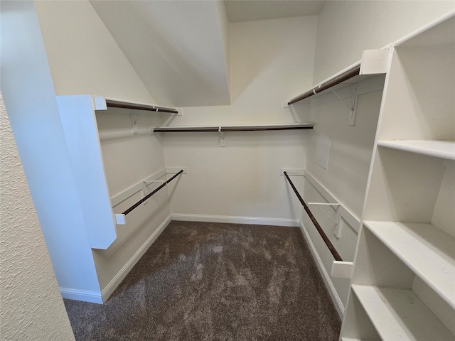 spacious closet featuring dark colored carpet