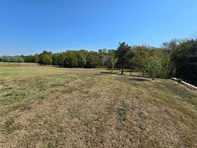 view of yard featuring a rural view