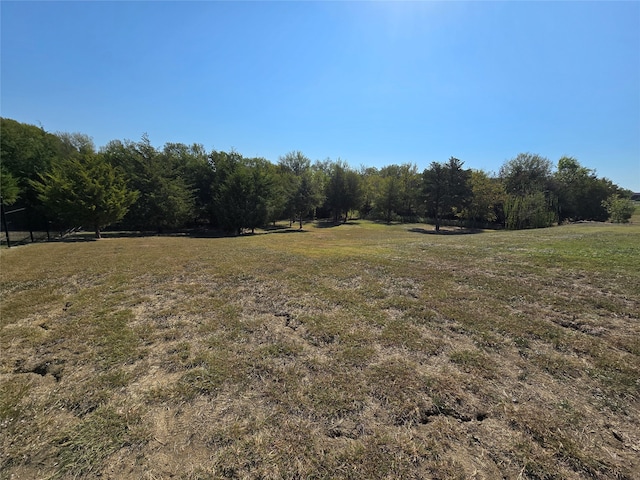 view of yard with a rural view