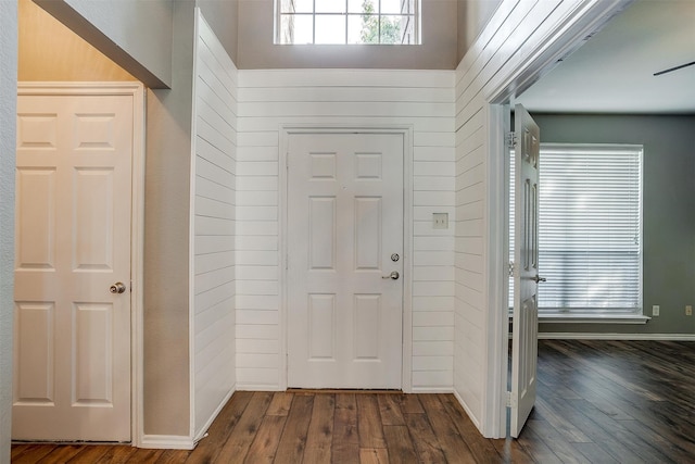 foyer entrance featuring dark wood-type flooring and wood walls