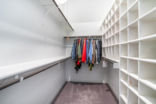 spacious closet featuring carpet flooring