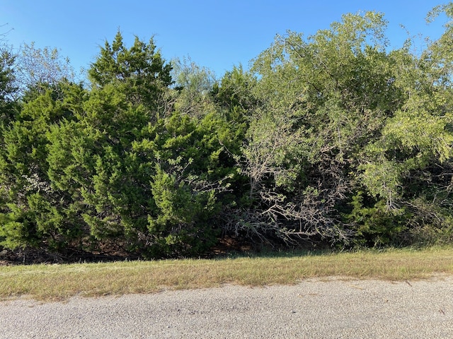 23010 Whispering Meadow Dr, Whitney TX, 76692 land for sale