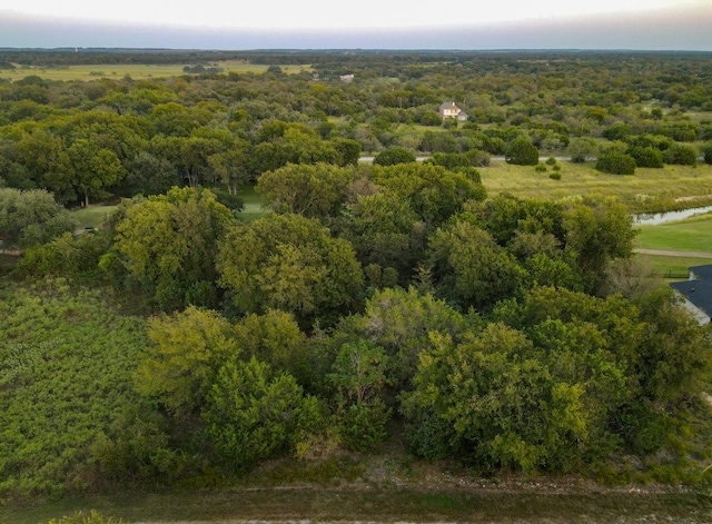 39329 Cedar Trl, Whitney TX, 76692 land for sale