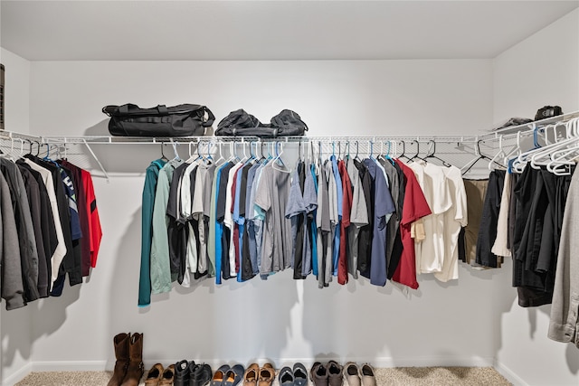 spacious closet featuring carpet floors