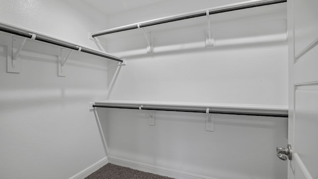 spacious closet with carpet