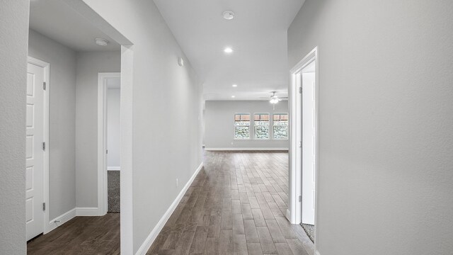 hall featuring dark hardwood / wood-style floors