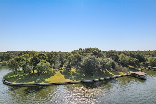 exterior space with a dock