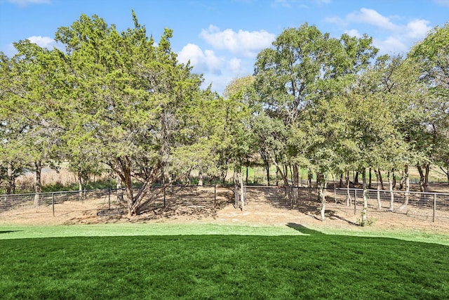 view of yard with a rural view