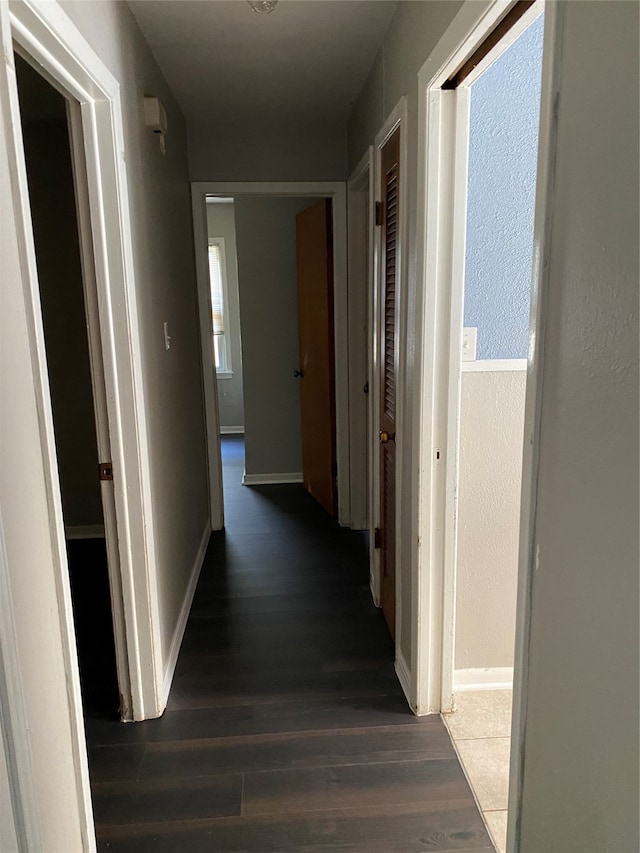 hall featuring dark hardwood / wood-style flooring