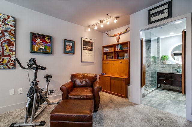 living area featuring light carpet