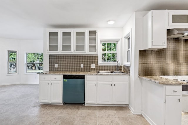 kitchen with light stone counters, white cabinets, sink, and stainless steel dishwasher