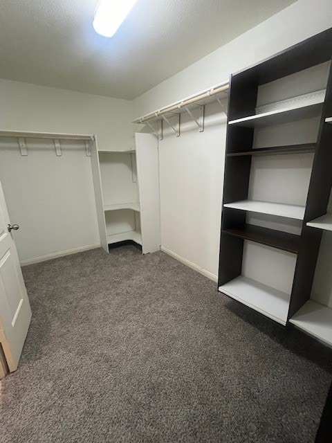 walk in closet featuring dark carpet