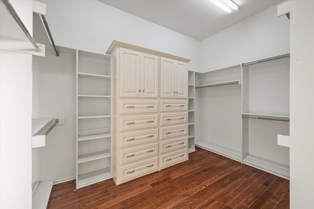 spacious closet featuring dark hardwood / wood-style flooring