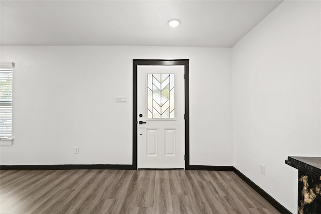 foyer entrance featuring hardwood / wood-style floors