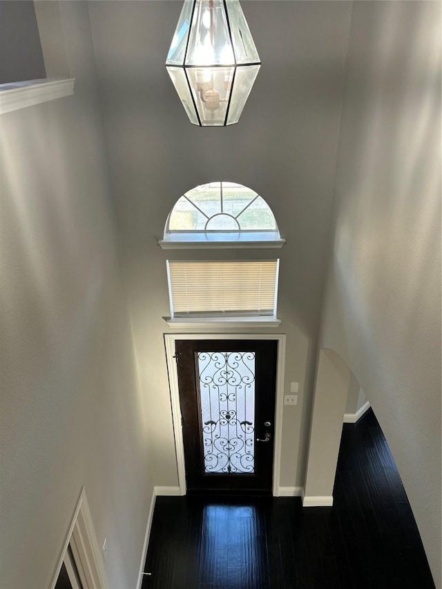 entryway with a high ceiling and dark wood-type flooring