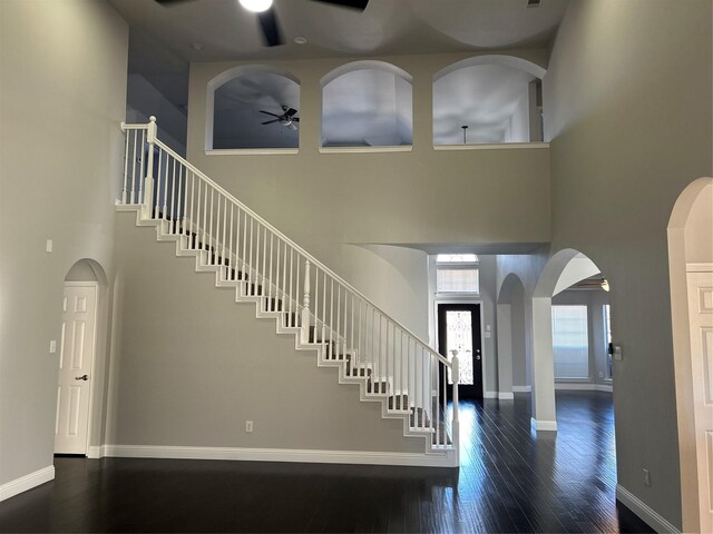 foyer featuring a high ceiling and dark wood-type flooring