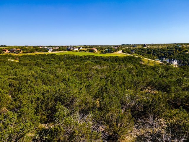 Listing photo 3 for LOT211 Harbor Town Dr, Possum Kingdom Lake TX 76449