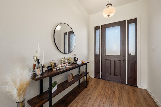 foyer entrance featuring hardwood / wood-style flooring