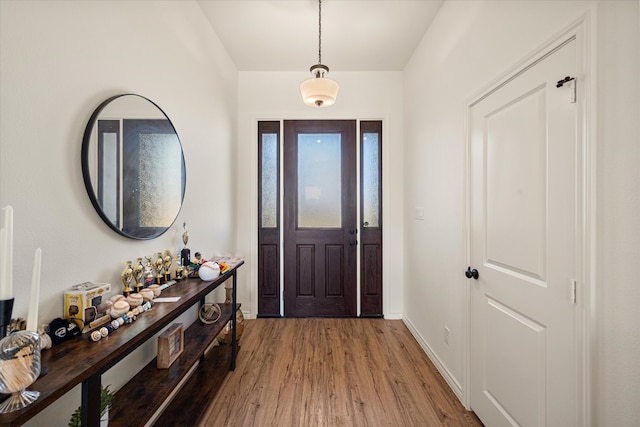 entrance foyer with wood-type flooring