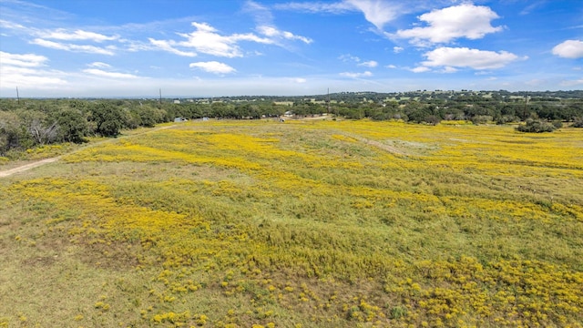 1455 County Road 2008 Unit B, Glen Rose, TX 76043 - view of rural area