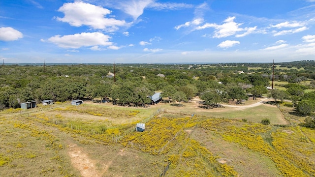 1455 County Road 2008 Unit B, Glen Rose, TX 76043 - bird's eye view of a forest