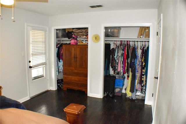 bedroom featuring multiple windows, dark wood-type flooring, and two closets