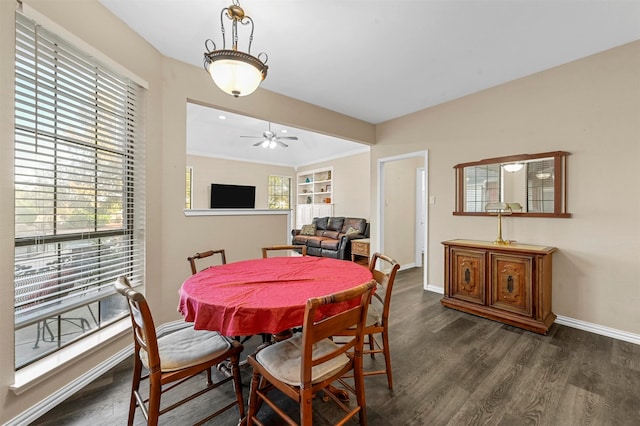 dining area with dark hardwood / wood-style flooring, ceiling fan, and crown molding