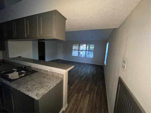 kitchen with lofted ceiling, sink, dark hardwood / wood-style floors, and a textured ceiling