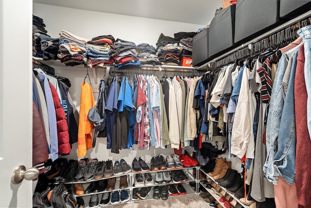 view of spacious closet