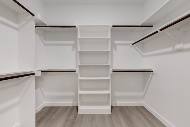 spacious closet featuring light wood-type flooring