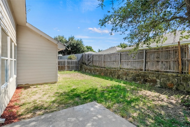 view of yard featuring a patio